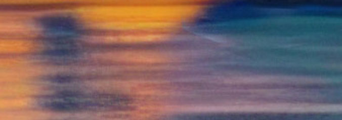 Pallet / Stacker Truck Course Objectives